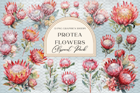 Download Watercolor Protea Flower Sublimation - Sublimation Collection